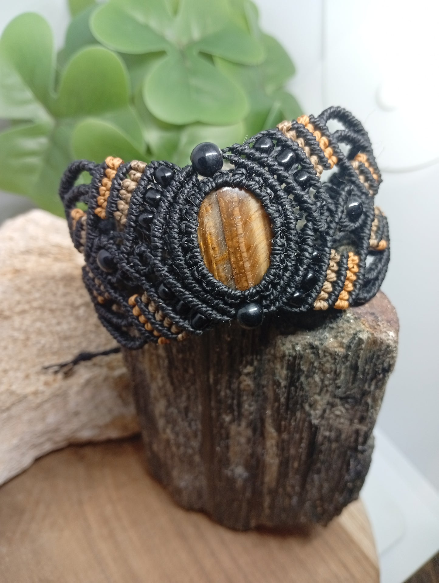 Fibres du Temps