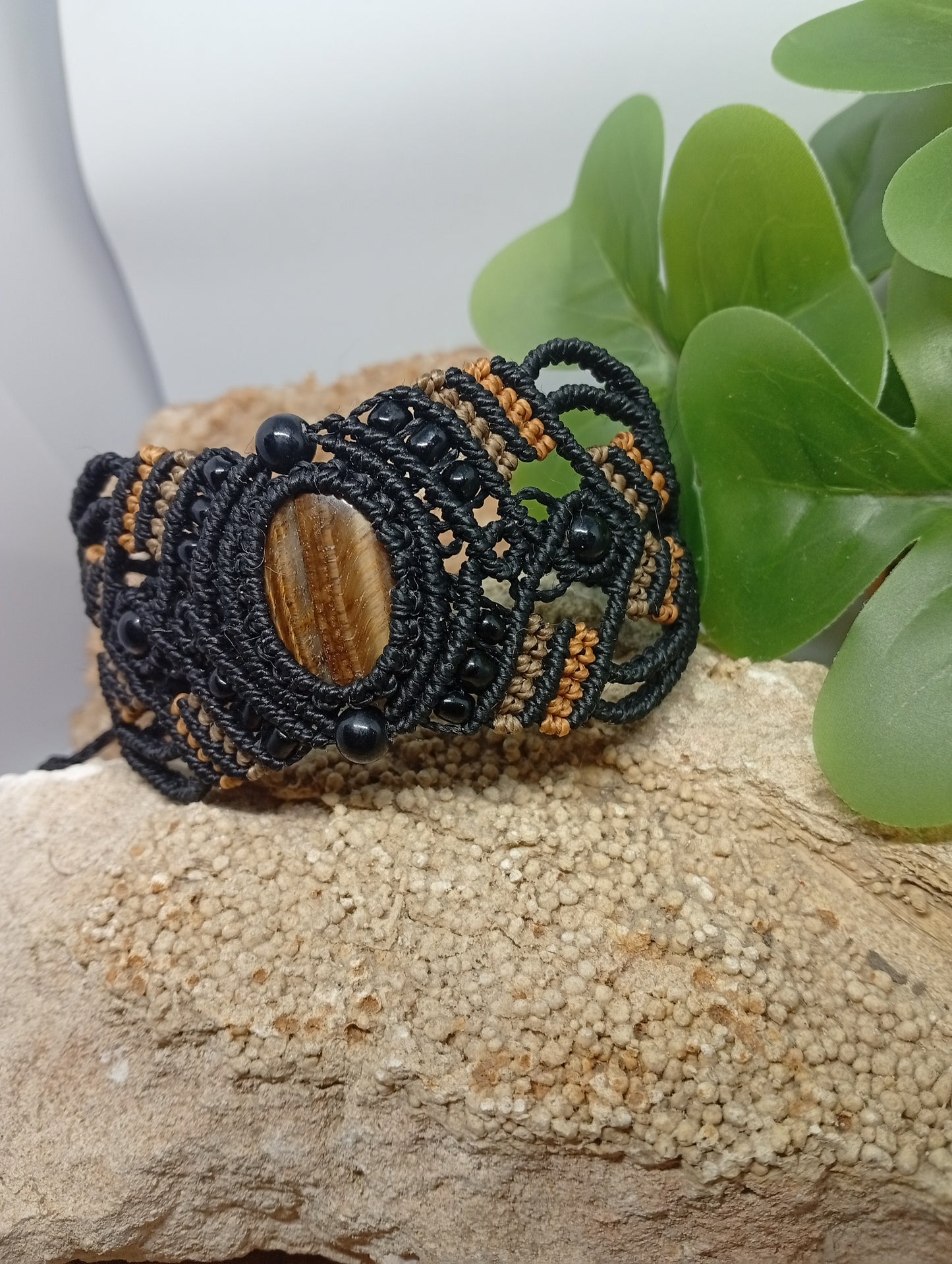 Fibres du Temps